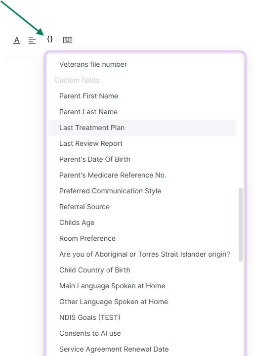 The placeholder list showing custom fields.